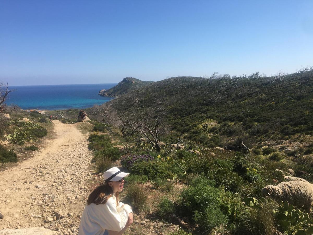 Clos Des Vignes Pampelonne Vineyard Ramatuelle Εξωτερικό φωτογραφία