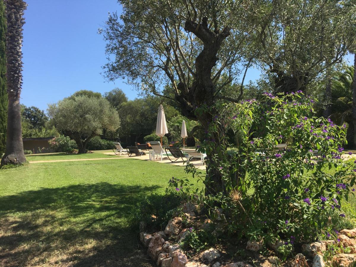 Clos Des Vignes Pampelonne Vineyard Ramatuelle Εξωτερικό φωτογραφία